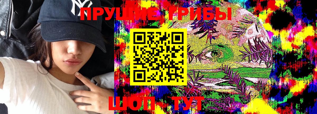 Галлюциногенные грибы Psilocybine cubensis  Вход с VPN  Галлюциногенные грибы Psilocybine cubensis  Тихвин 